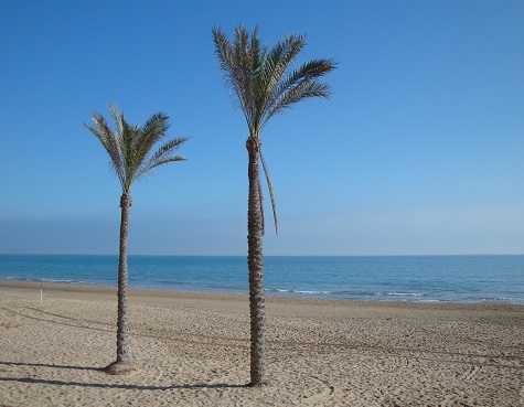 Spain beach